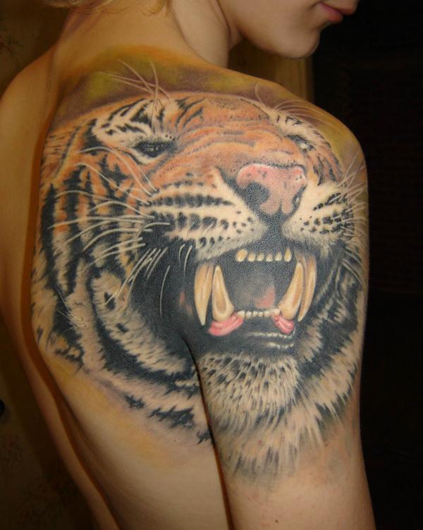 Wonderful Right Shoulder Aggressive Tiger Face Tattoo